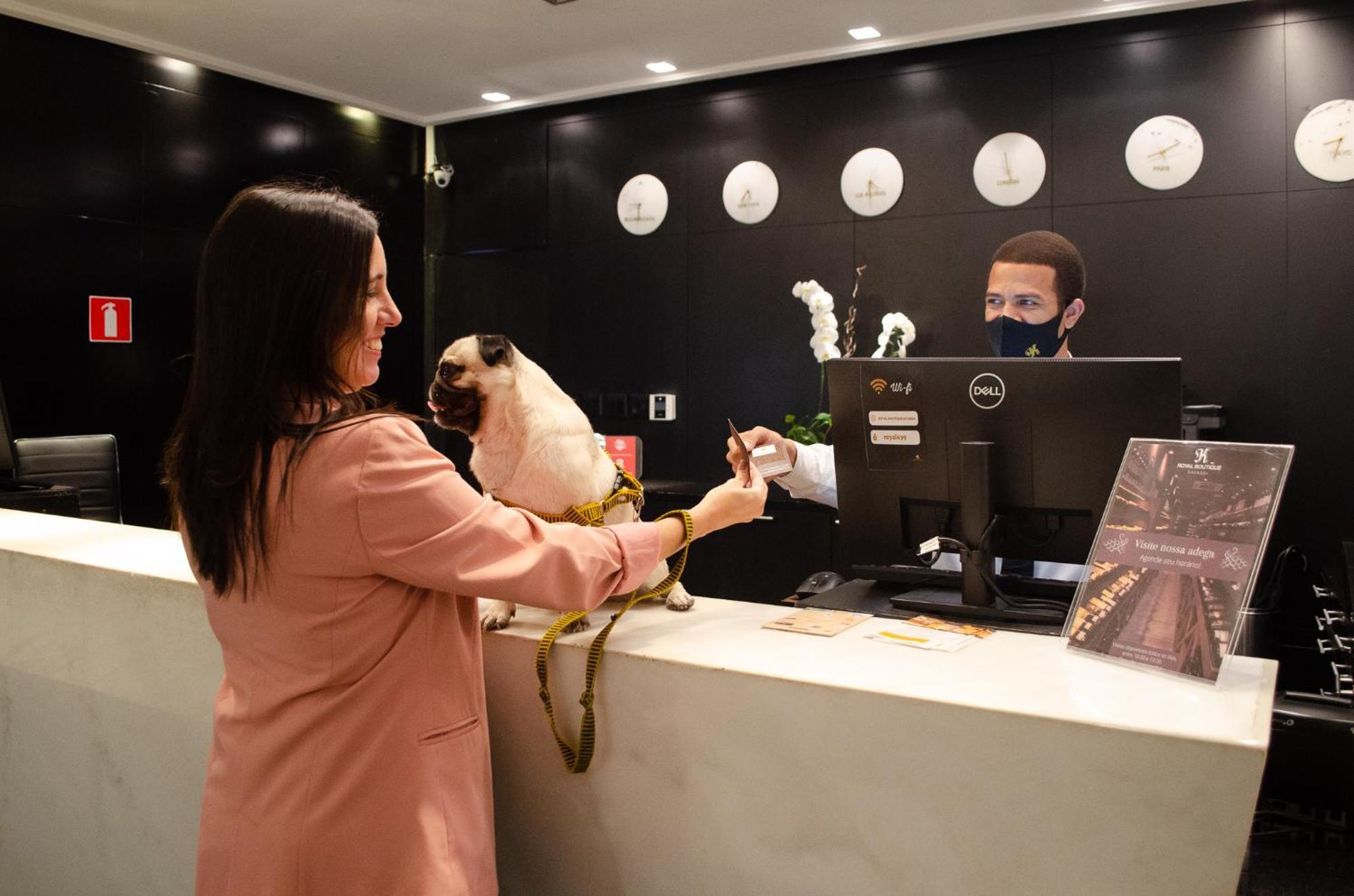 Royal Boutique Savassi Hotel Belo Horizonte Extérieur photo A woman checking in at a hotel with her dog
